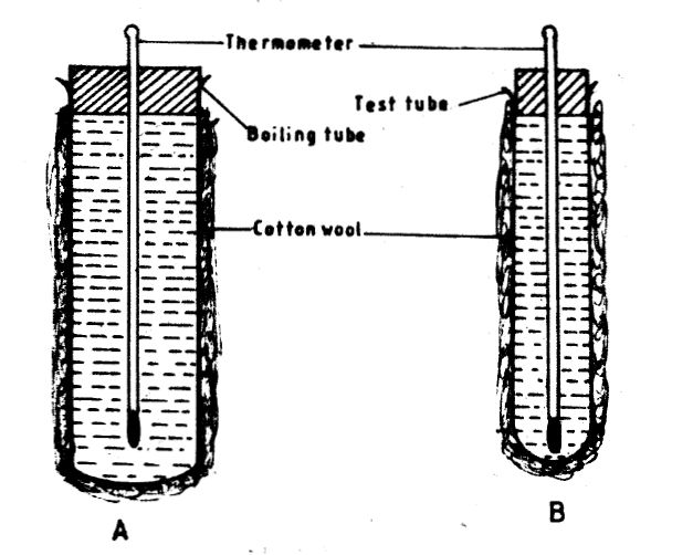 Experiment to investigate physiological process