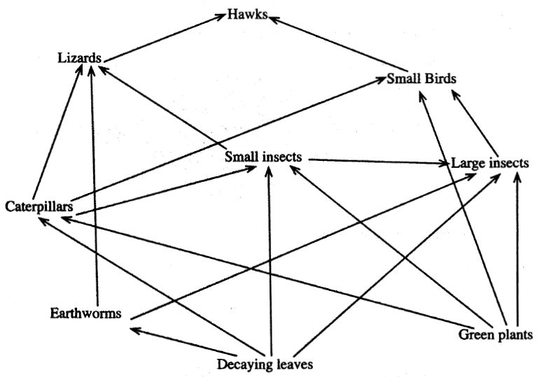 Food wen in an ecosystem