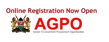 Access to Government Procurement Opportunities