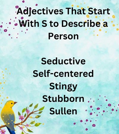 Adjectives That Start With S to Describe a Person