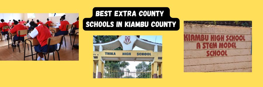 Best Extra County Schools in Kiambu County