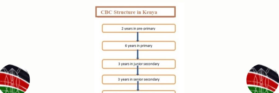 CBC Curriculum Structure in Kenya