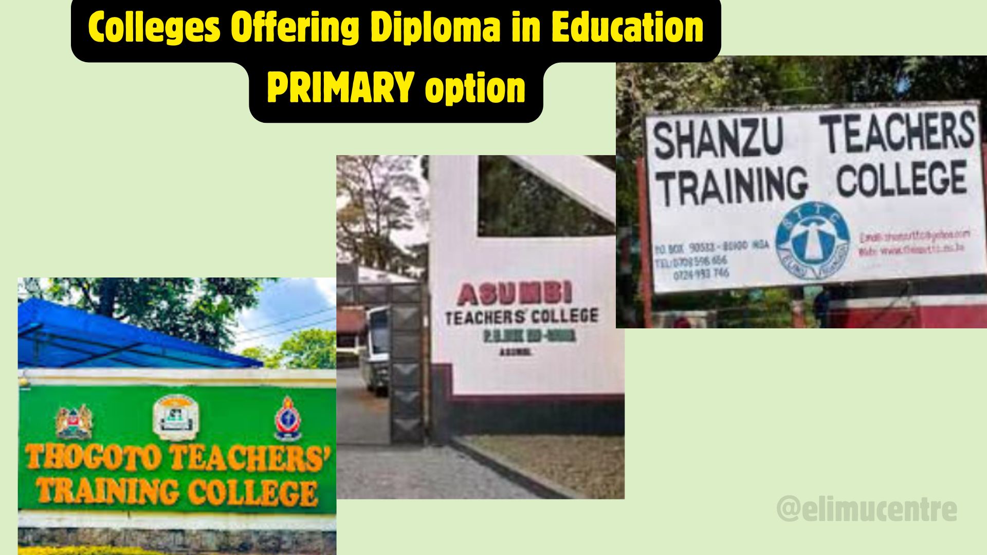 Colleges Offering Diploma in Education PRIMARY option