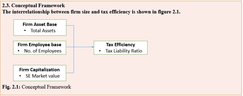 Conceptual Framework