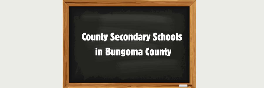 County Secondary Schools in Bungoma County