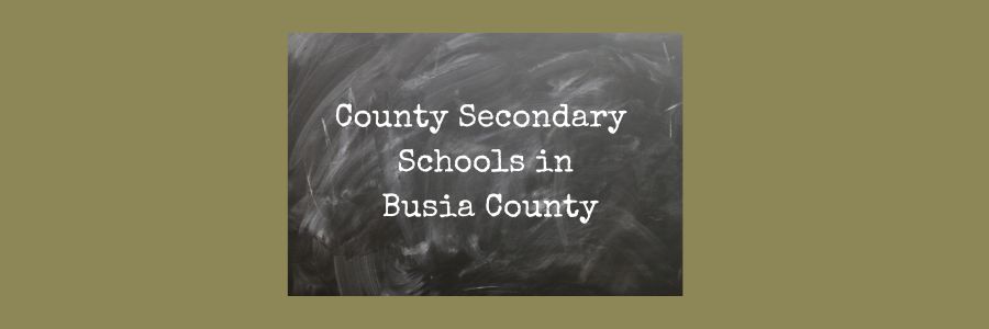 County Secondary Schools in Busia County