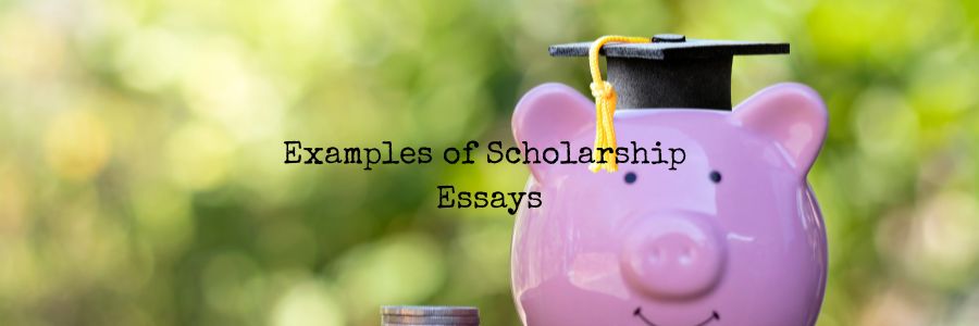 Examples of Scholarship Essays