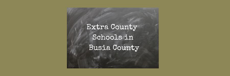 Extra County Schools in Busia County