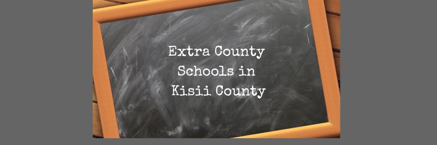 Extra County Schools in Kisii County