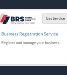 File your Online Annual Returns on BRS services in eCitizen