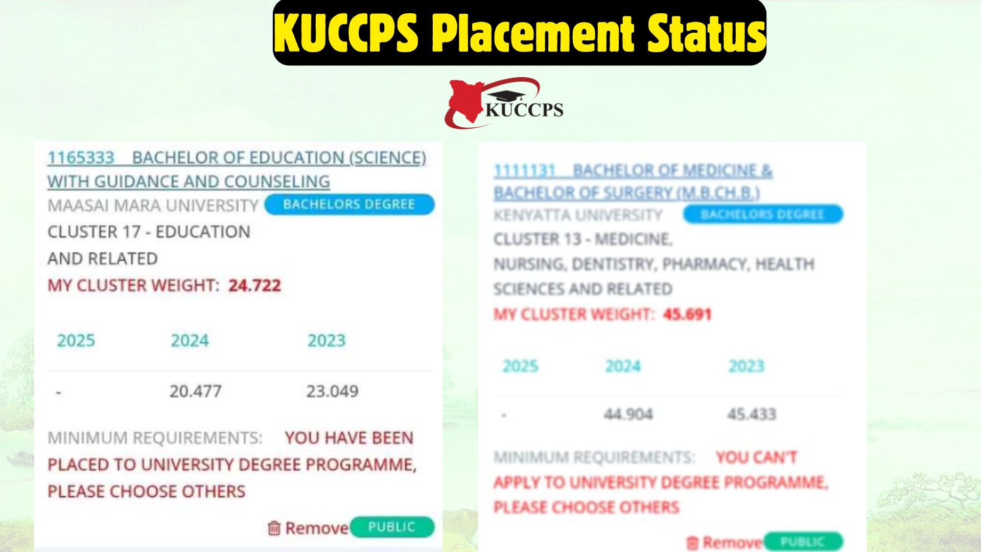KUCCPS Placement Status