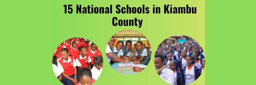 National Schools in Kiambu County offering all 3 Career Pathways