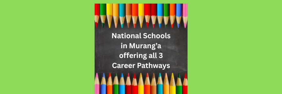 National Schools in Murang’a offering all 3 Career Pathways