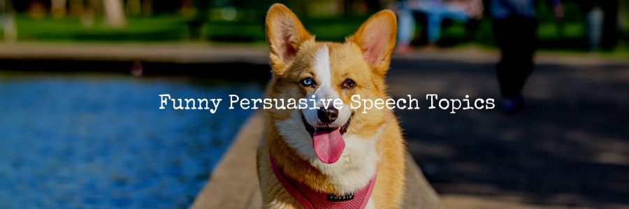 Persuasive Speech Topics about Animals