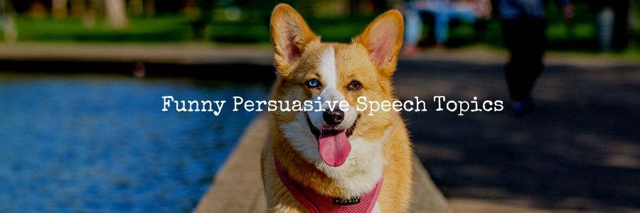 informative topics about animals