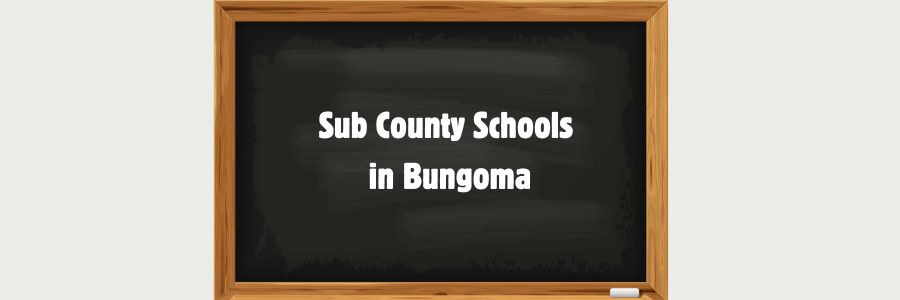 Sub County Schools in Bungoma