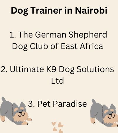 dog trainer nairobi