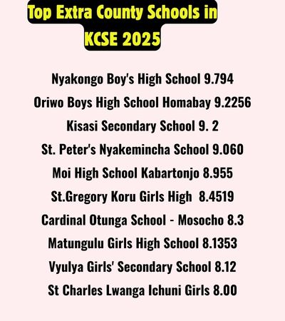 top 10 extra county schools in kenya